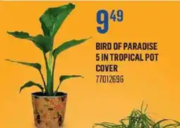 Canac Bird of Paradise offer