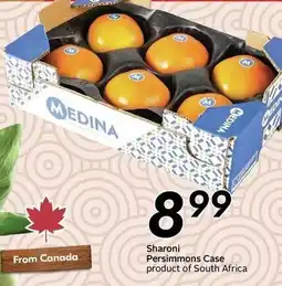Sobeys Medina persimmons offer