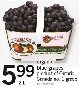 Loblaws vineland organic blue grapes offer