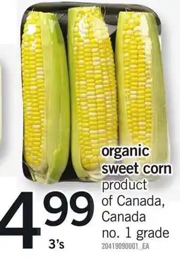 Loblaws organic sweet corn offer