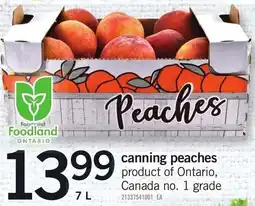 Loblaws Foodland peaches offer