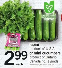 Loblaws andy boy rapini or mini cucumbers offer