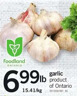 Loblaws garlic offer