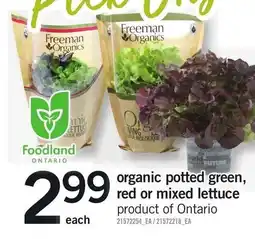 Loblaws freeman organics organic potted green, red or mixed lettuce offer