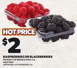 Loblaws Raspberries or Blackberries offer