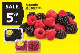 Co-op Driscoll's raspberries or blackberries offer