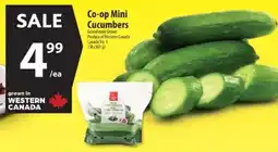 Co-op Co-op Mini Cucumbers offer