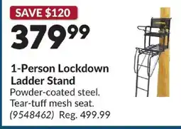Princess Auto Lockdown Ladder Stand offer