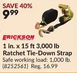 Princess Auto Erickson ratchet tie-down strap offer