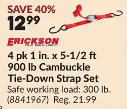 Princess Auto Erickson tie-down strap set offer
