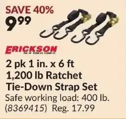 Princess Auto Erickson tie-down strap set offer