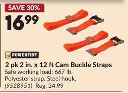 Princess Auto Powerfist 2 in. x 12 ft Cam Buckle Straps offer