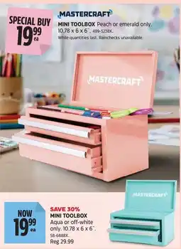 Canadian Tire Mastercraft mini toolbox offer