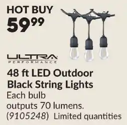 Princess Auto Ultra Performance 48 ft LED Outdoor Black String Lights offer
