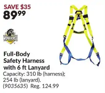 Workhorse safety full-body harness with 6 ft lanyard