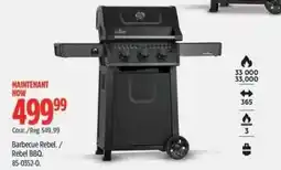 Canadian Tire Rebel BBQ offer