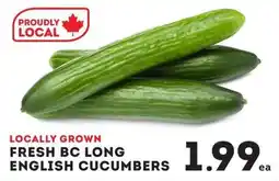 IGA Fresh bc long english cucumbers offer
