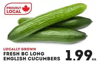 Fresh bc long english cucumbers