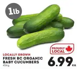 IGA Fresh bc organic baby cucumbers offer