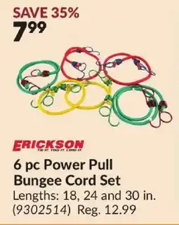 Princess Auto Erickson 6 pc Power Pull Bungee Cord Set offer