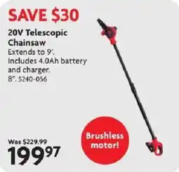 Home Hardware 20v telescopic chainsaw offer