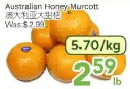 Ample Food Market Australian Honey Murcott offer