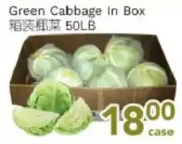 Ample Food Market Green Cabbage In Box offer