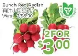 Ample Food Market Bunch Red Radish offer