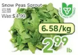 Ample Food Market Snow Peas Sprout offer