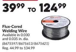 Princess Auto Hobart flux-cored welding wire offer