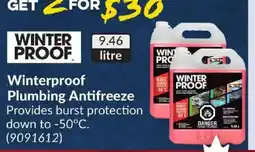 Princess Auto Winterproof Plumbing Antifreeze offer