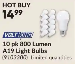 Princess Auto Volt King A19 Light Bulbs offer
