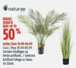 Canadian Tire naturaе decor selected artificial foliage or grass offer