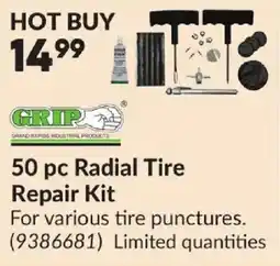 Princess Auto Grip 50 pc Radial Tire Repair Kit offer