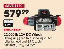 Princess Auto Erickson 12,000 lb 12V DC Winch offer