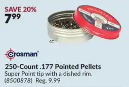 Princess Auto Crosman 250-Count .177 Pointed Pellets offer