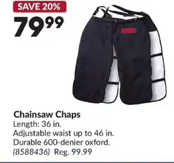 Princess Auto Oregon Chainsaw Chaps offer