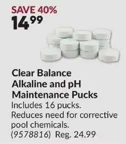 Princess Auto Clear Balance Alkaline and pH Maintenance Pucks offer