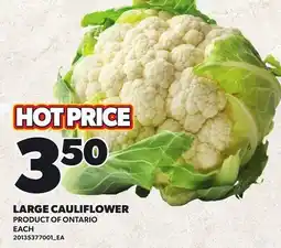 Loblaws LARGE CAULIFLOWER offer
