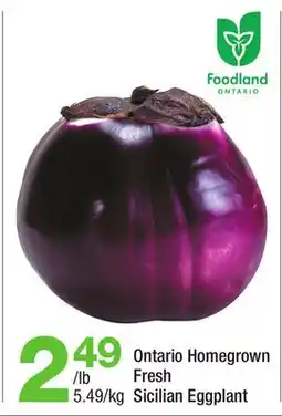 Highland Farms Ontario Homegrown Fresh Sicilian Eggplant offer