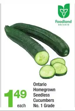 Highland Farms Ontario Homegrown Seedless Cucumbers offer