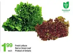 Highland Farms Fresh Lettuce offer