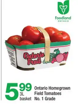 Highland Farms Ontario Homegrown Field Tomatoes offer