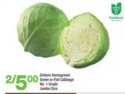 Highland Farms Ontario Homegrown Green or Flat Cabbage offer