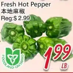 Foody Mart Fresh Hot Pepper offer