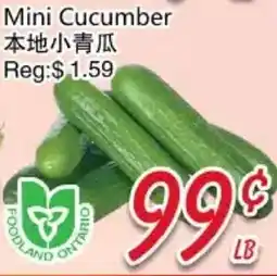 Foody Mart Mini Cucumber offer