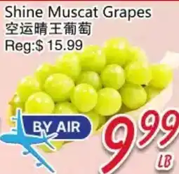 Foody Mart Shine Muscat Grapes offer