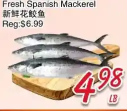 Foody Mart Fresh Spanish Mackerel offer
