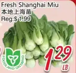 Foody Mart Fresh Shanghai Miu offer