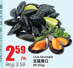 Btrust Supermarket Live Mussels offer
